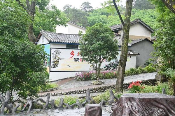 华人卫视乡风文明2