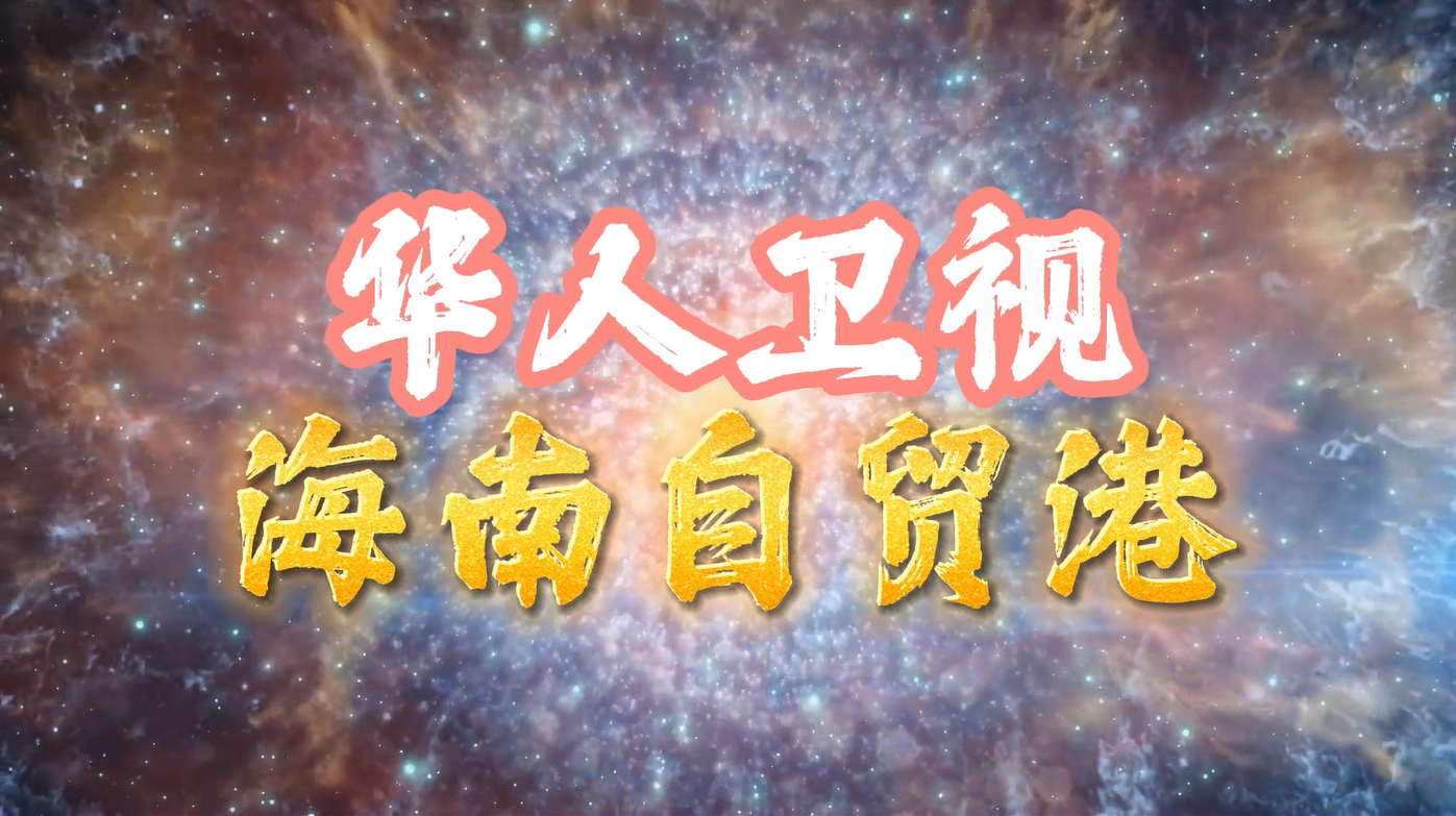 自贸港频道.png